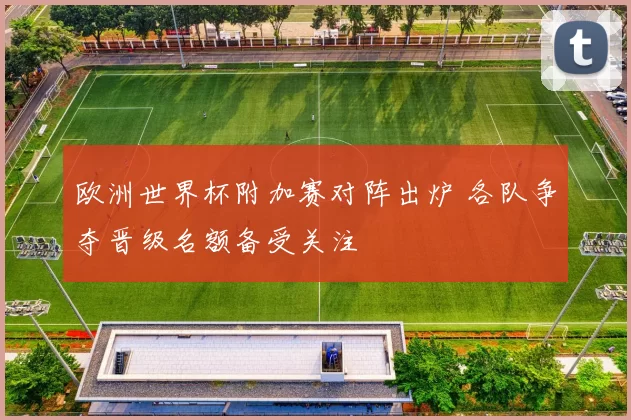 欧洲世界杯附加赛对阵出炉 各队争夺晋级名额备受关注