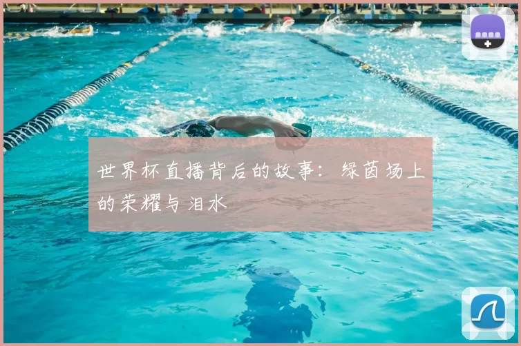 世界杯直播背后的故事:绿茵场上的荣耀与泪水