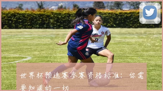世界杯预选赛参赛资格标准：你需要知道的一切