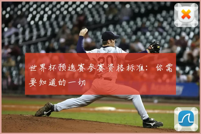 世界杯预选赛参赛资格标准：你需要知道的一切