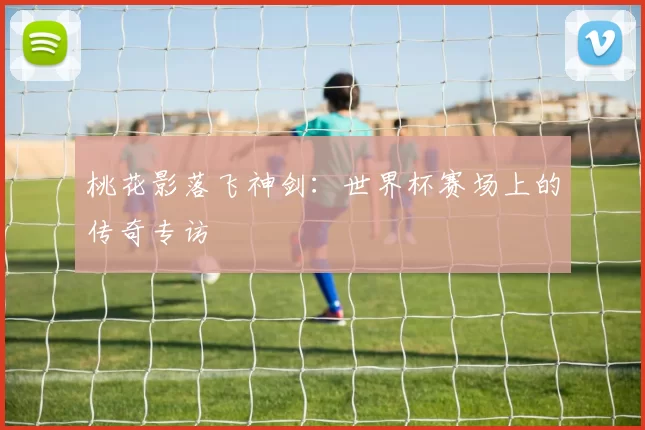 桃花影落飞神剑:世界杯赛场上的传奇专访