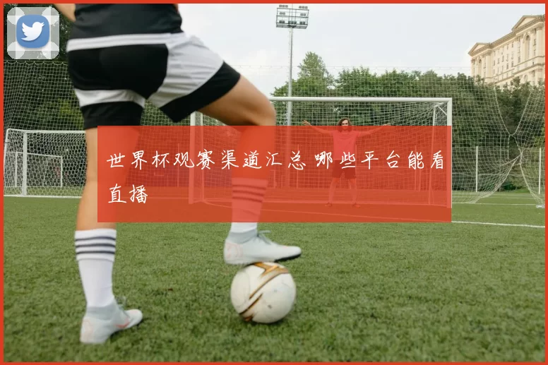 世界杯观赛渠道汇总 哪些平台能看直播