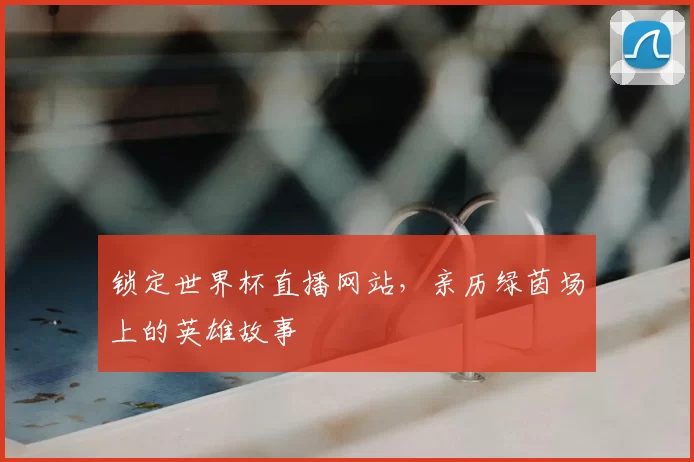 锁定世界杯直播网站，亲历绿茵场上的英雄故事
