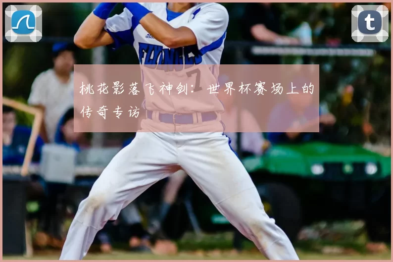 桃花影落飞神剑:世界杯赛场上的传奇专访