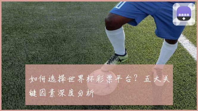如何选择世界杯彩票平台?五大关键因素深度分析