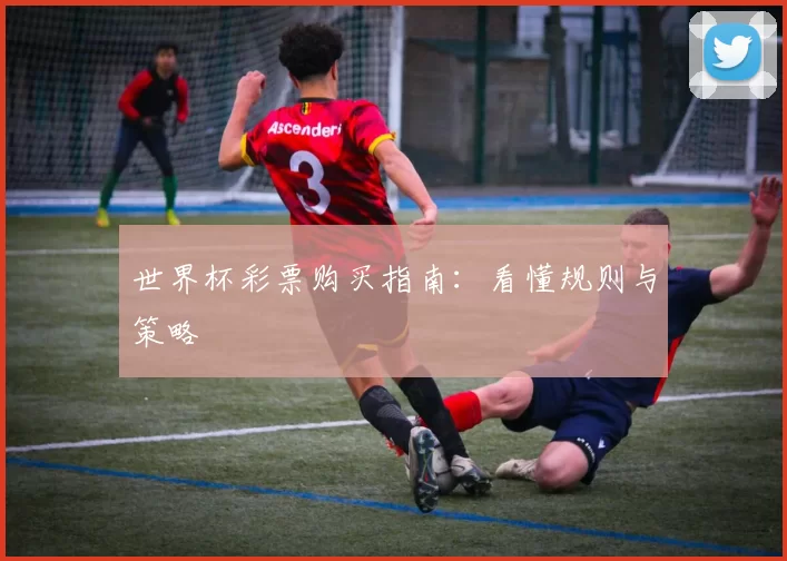 世界杯彩票购买指南:看懂规则与策略