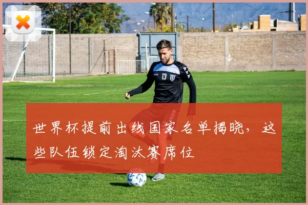世界杯提前出线国家名单揭晓,这些队伍锁定淘汰赛席位