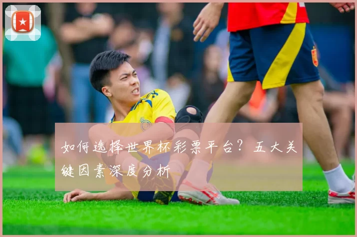 如何选择世界杯彩票平台？五大关键因素深度分析