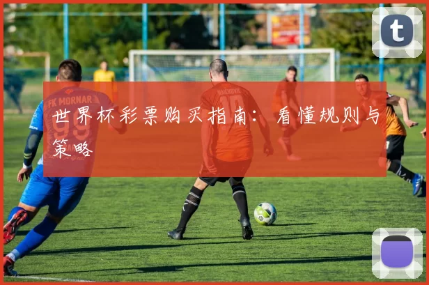 世界杯彩票购买指南:看懂规则与策略