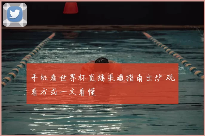手机看世界杯直播渠道指南出炉 观看方式一文看懂